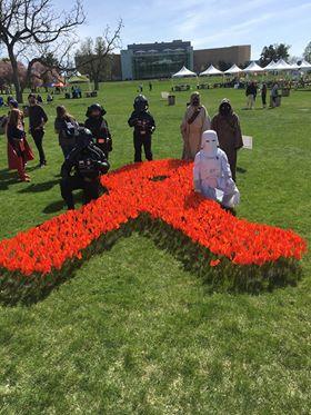 May 4  MS Walk Denver