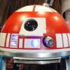 R2DEVO